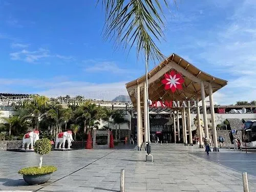 Ferienhaus Tenerifeopenhome Townhouse Oasis Fanabe 21 *